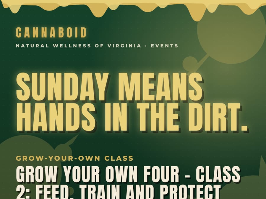 Grow Your Own Four - Class 2: Feed, Train and Protect